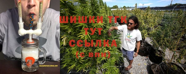 шишки Белоозёрский