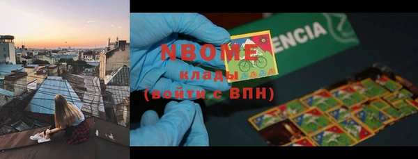 шишки Белоозёрский