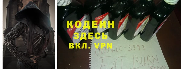 шишки Белоозёрский