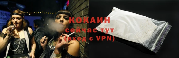 шишки Белоозёрский