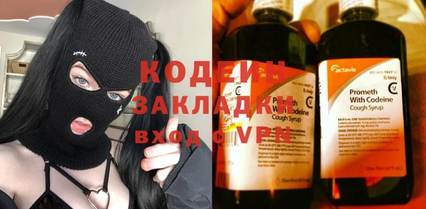 шишки Белоозёрский