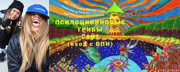 COCAINE Богородск